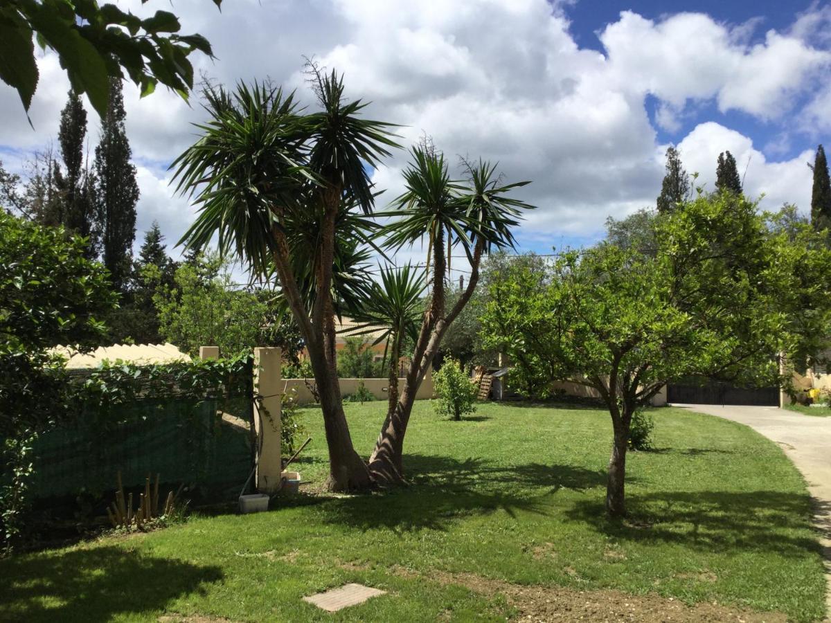 Casa Evi Corfu 1 Leilighet Potamós Eksteriør bilde